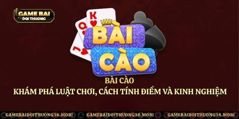 Bài Cào – Khám Phá Luật Chơi, Cách Tính Điểm Và Kinh Nghiệm